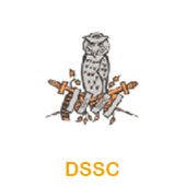 DSSC-NEW